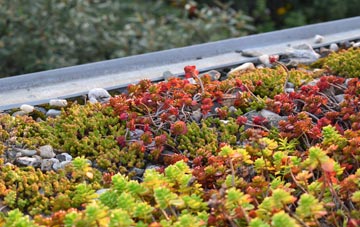 the cost of Tweedsmuir green roof installation