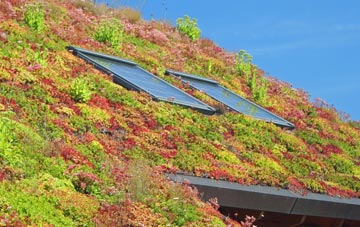 Tweedsmuir living roof systems